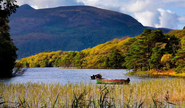 The Lakes of Killarney
